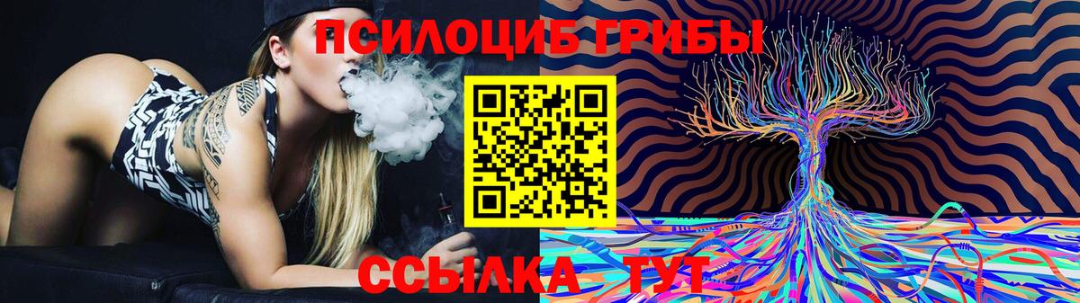 Псилоцибиновые грибы Cubensis Корсаков