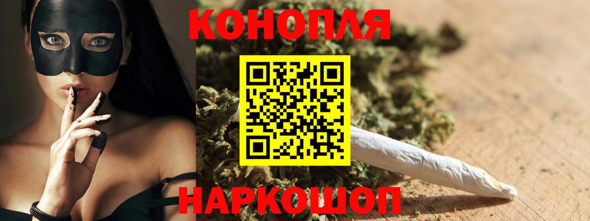 Марихуана сатива Корсаков